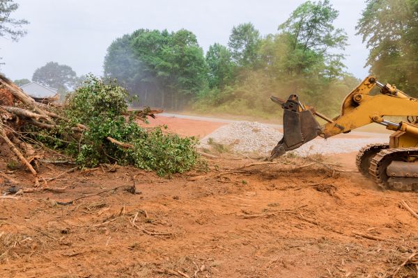 Ground Clearing in Phenix City