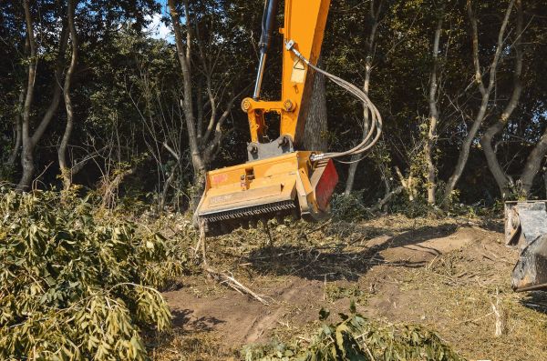 Brush Removal Service in Phenix City