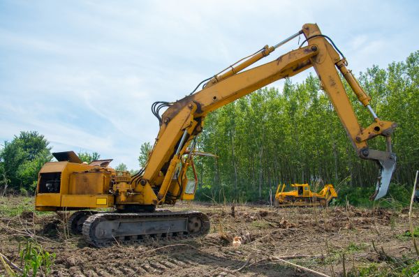 Cost of Farm Clearing in Phenix City