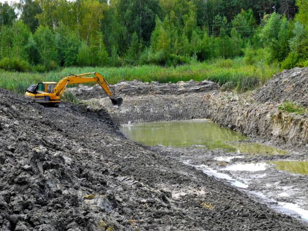 Cost of Lake Lot Clearing in Phenix City