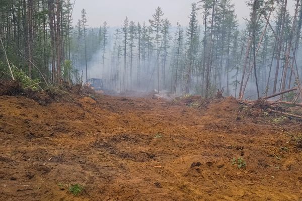 Cost of Hill Clearing in Phenix City