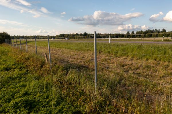Cost of Property Line Clearing in Phenix City