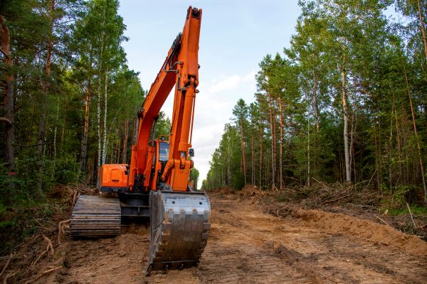 Cost of Backhoe Land Clearing in Phenix City