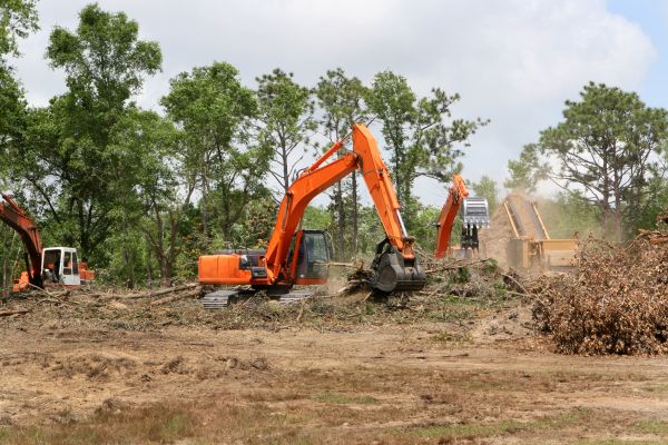 Cost of Commercial Lot Clearing in Phenix City