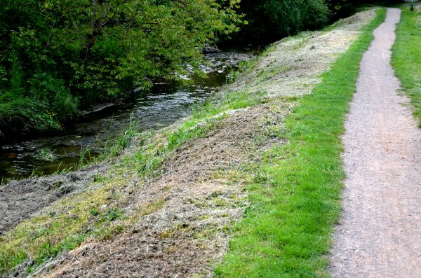 Cost of Trail Cutting in Phenix City