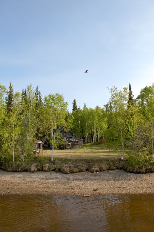 Spring Land Clearing Operations
